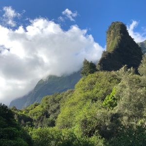 Meet your Posher, Jerry